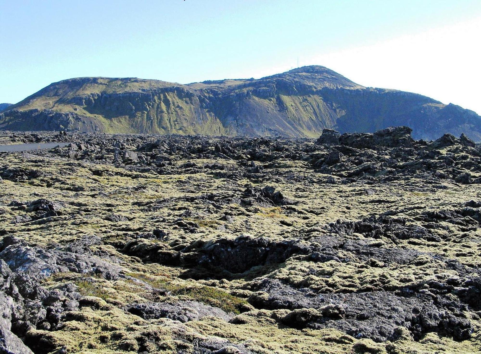 Reykjanes Guesthouse Grindavík المظهر الخارجي الصورة